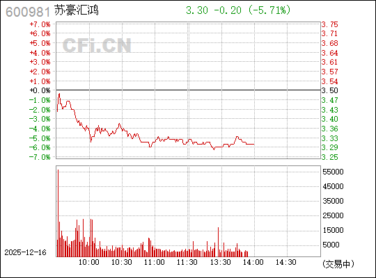 揭秘?cái)?shù)字背后的故事，探索600981的神秘面紗，揭秘?cái)?shù)字之謎，探尋600981的神秘面紗